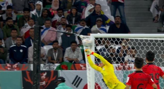 1669362267516013588.jpg 202211242247047499.jpg